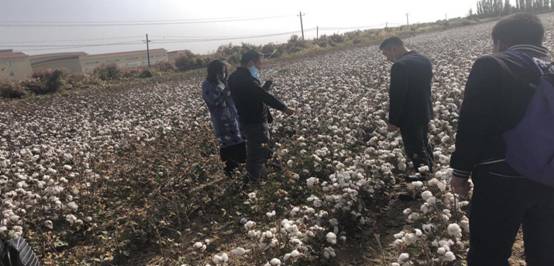 6FD5863683B4CF93230EAFF1F624BD91