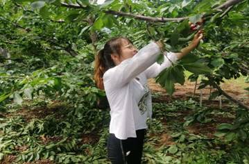 2019园艺专业三下乡mmexport1563721813995