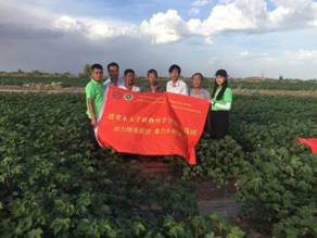 乡村稼穑情振兴中国梦塔里木大学农科学子团场行4