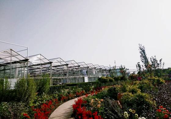 G:\园艺2018级\新建文件夹\图片3.png图片3