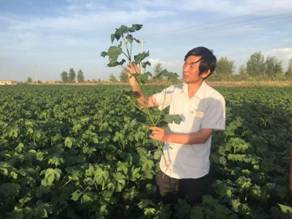 乡村稼穑情振兴中国梦塔里木大学农科学子团场行2