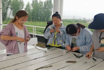 ca3e6ace0fea7c4dc7aa5531501733a