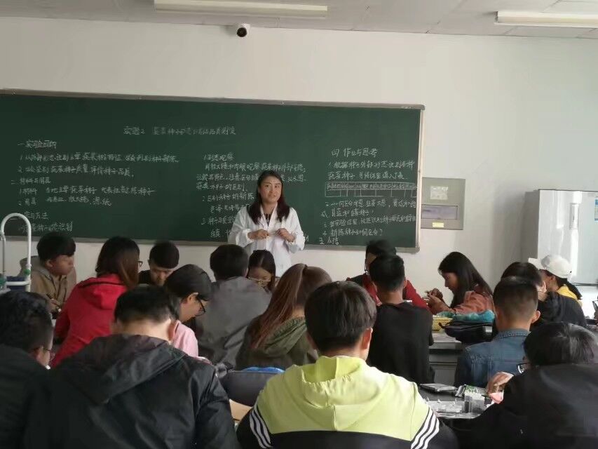 实验教学