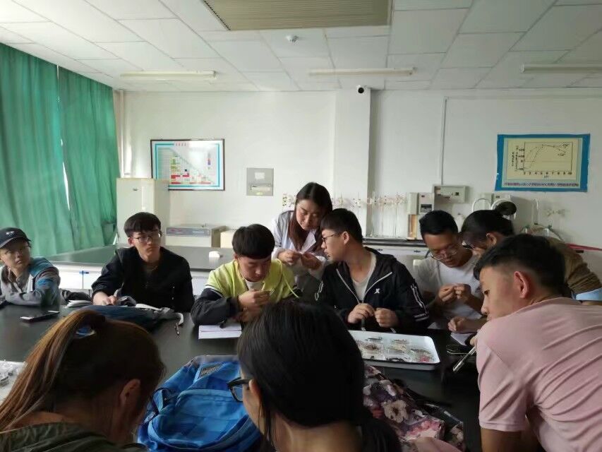 实验教学1
