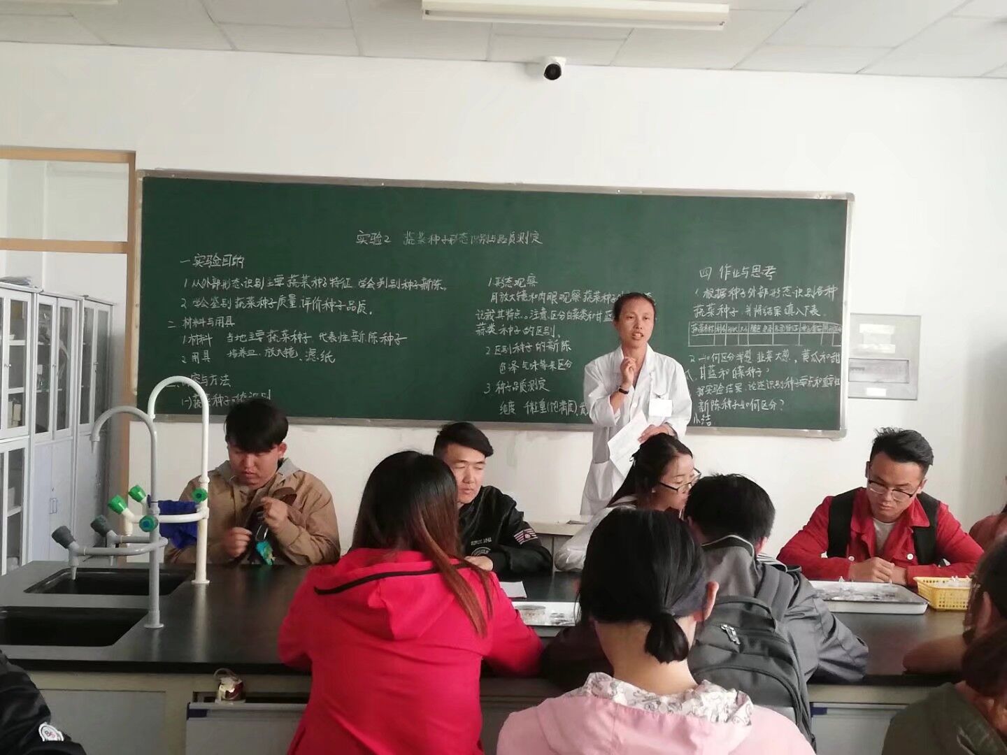 实验教学3