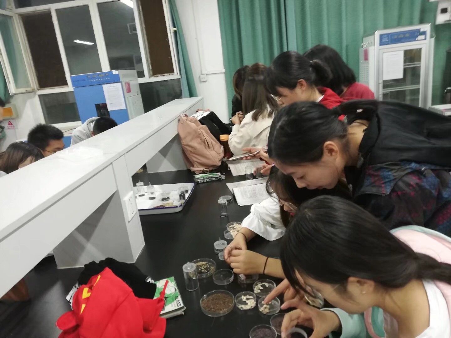 种子识别