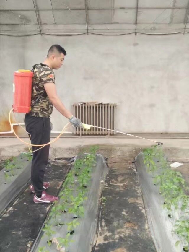 病虫害防治
