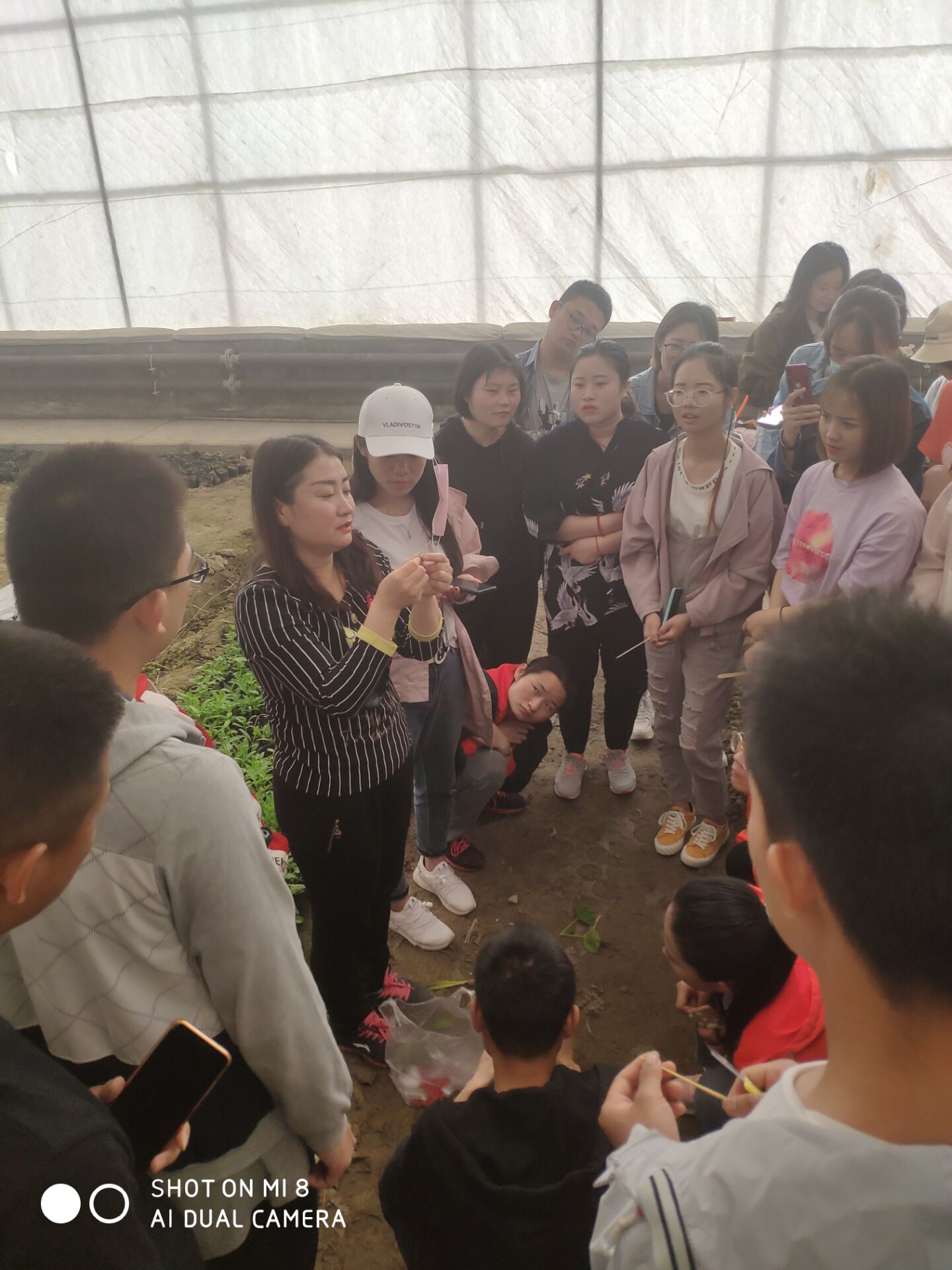 教师讲解和示范