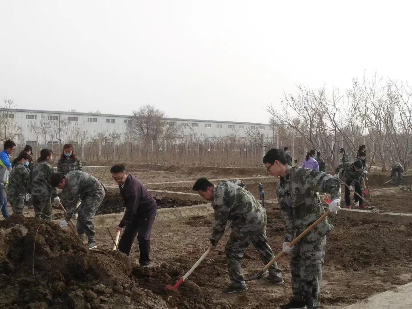 师生一起动手劳动