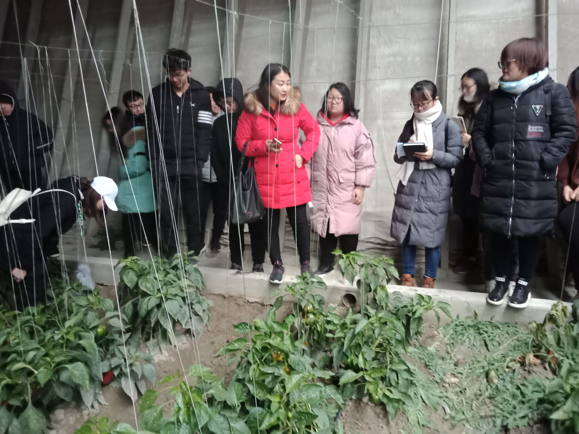 校外参观