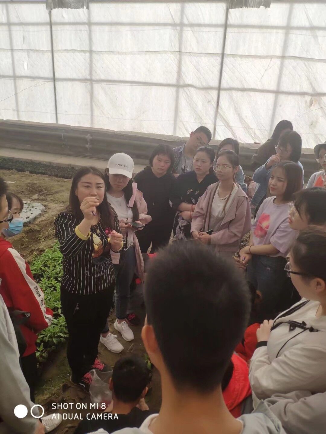 教师讲解和示范