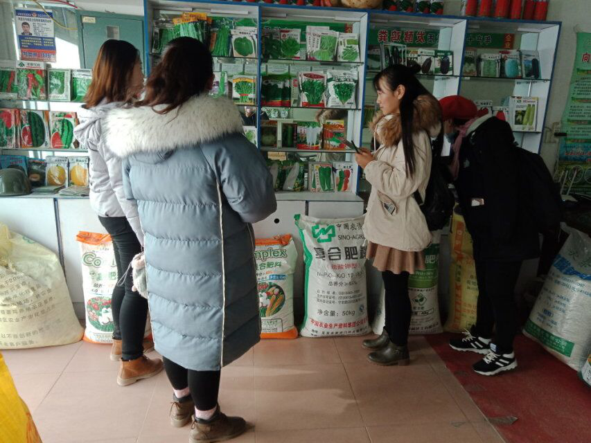 农资店调研